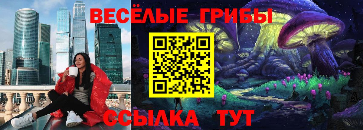 Псилоцибиновые грибы Psilocybe  Вход с VPN  Воронеж 