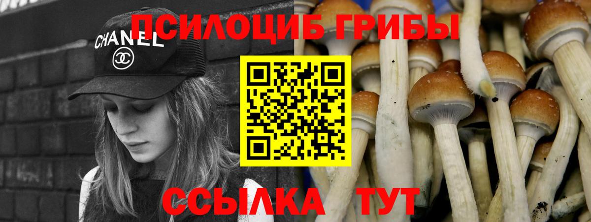 Галлюциногенные грибы GOLDEN TEACHER Воронеж