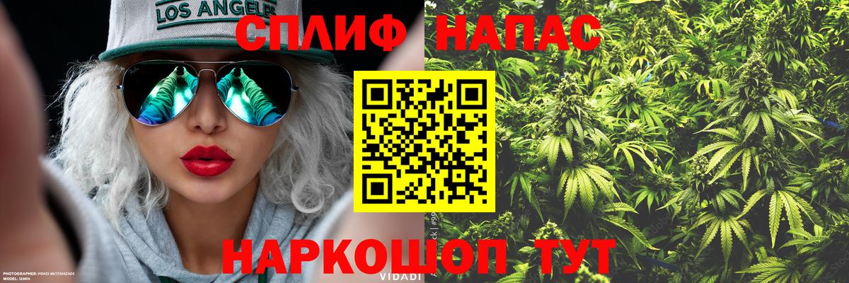 Воронеж  Конопля Amnesia  Бошки Шишки планчик  Вход с VPN 